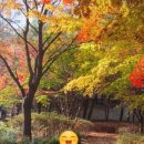 계남공원(배드민턴장) 이미지