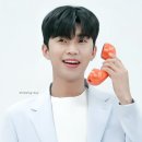 스케치피자 이미지