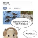 국립수산물품질관리원