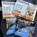 고은약국 | 인천 만수동 고은약국 하트가드 프론트라인 후기