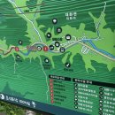 효석문학100리길 제2구간 | [평창여행] 평창가볼만한곳 - 대화면에서 만나보는 효석문학100리길 2구간 대화장터가는 길