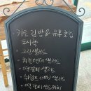 피크닉(샌드위치 앤 과일도시락) | 창원 단체 도시락 로즈앤 키토김밥 샌드위치 추천