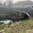 황금교 이미지