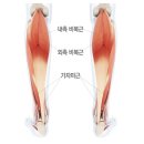 종아리압박밴드 임산부스타킹 추천 및 효과 2종 비교후기