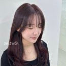 노아미용실 이미지