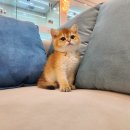 헬로브리더