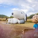 제주도 볼거리 제주 스누피가든 입장료 예약 및 소요시간
