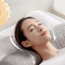 헤르티 이미지