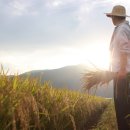 청성면행정복지센터 이미지