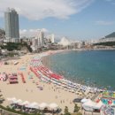 송도해수욕장 이미지