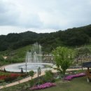 나만의 한평 정원 가꾸기 이미지