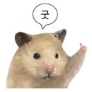 대림상사 이미지