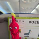 3박4일 일본 다카마쓰 자유여행 후기 (우동, 나오시마, 리쓰린, 돈키호테, 야키토리)