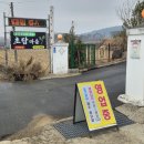 논산애견 | 논산 애견동반 식당 초담마을 후기