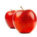 무주반디농장 이미지