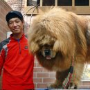 짱오농장 이미지