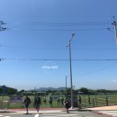 을숙도 리틀야구장 이미지