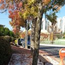 함안고등학교 이미지