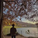 외대로26번길 | 한국외대 글로벌 캠퍼스 명수당