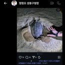 국궁장 이미지