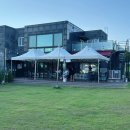 어곡 | 양산 애견카페 어곡128 별하와 함께한 힐링 주말 나들이 후기
