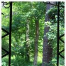 광릉5일장 이미지