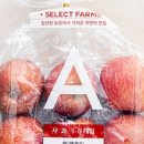 프레쉬팜