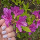 신내역 | 신내역 네일 아오테네일 후기(유지력 진짜 오래감)