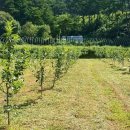 백담소나무계곡펜션 이미지