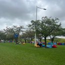 그린아일랜드 야외도서관 이미지