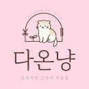 담담 그루밍 샵 이미지