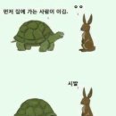 토끼와거북이 이미지