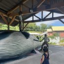 장생포고래로L 이미지