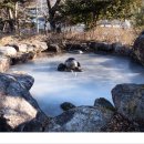 소백산 토종메주 Daum카페