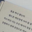 오로라하우스