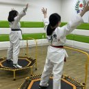 지금 용인대 국가대표 태권도장 이미지