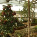 안산 식물원 이미지