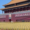 서우통상 이미지