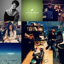 올리브힐(OLIVE HILL) 이미지