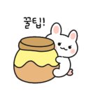 티롤978 이미지