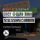 오토 오아시스 이미지