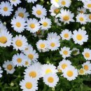 구영축산 이미지