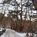 용의 해 시무식 – 용문산(가섭봉,장군봉,백운봉,두리봉) 이미지