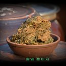 어물동웃는콩