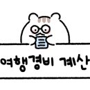 스카이항공투어 이미지