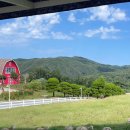 진로목장 이미지