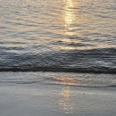 GS25포항영일대 이미지