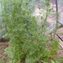 무지개횟집 이미지