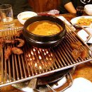 서래갈매기 이미지