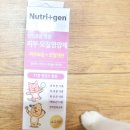 단모종 고양이 피부,모질영양제 뉴트리젠 후기 - 정말 소고기맛이날까...